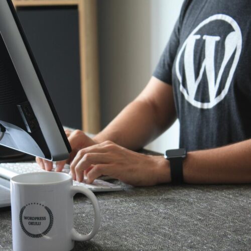 WordPress Hosting for Freelancers. All You Need To Know!